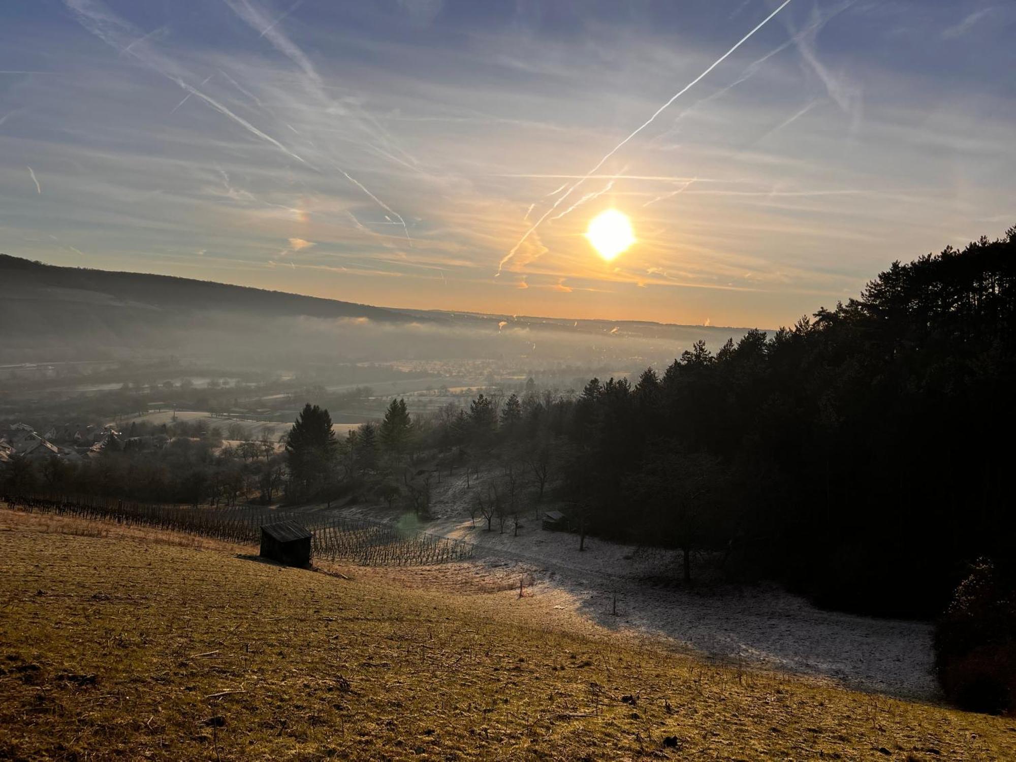 Ferienhaus Weinbergblick - Nahe Wuerzburg - 2 Schlafzimmer - Familienfreundlich - Terrasse Unterleinach ภายนอก รูปภาพ