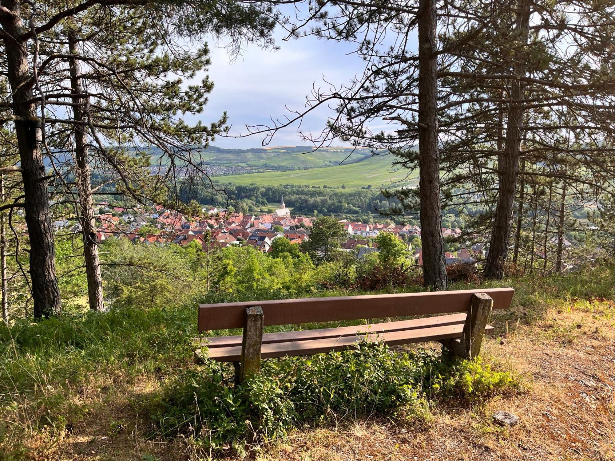 Ferienhaus Weinbergblick - Nahe Wuerzburg - 2 Schlafzimmer - Familienfreundlich - Terrasse Unterleinach ภายนอก รูปภาพ